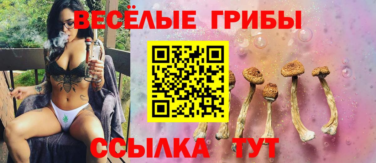 Галлюциногенные грибы Psilocybe Жуковский